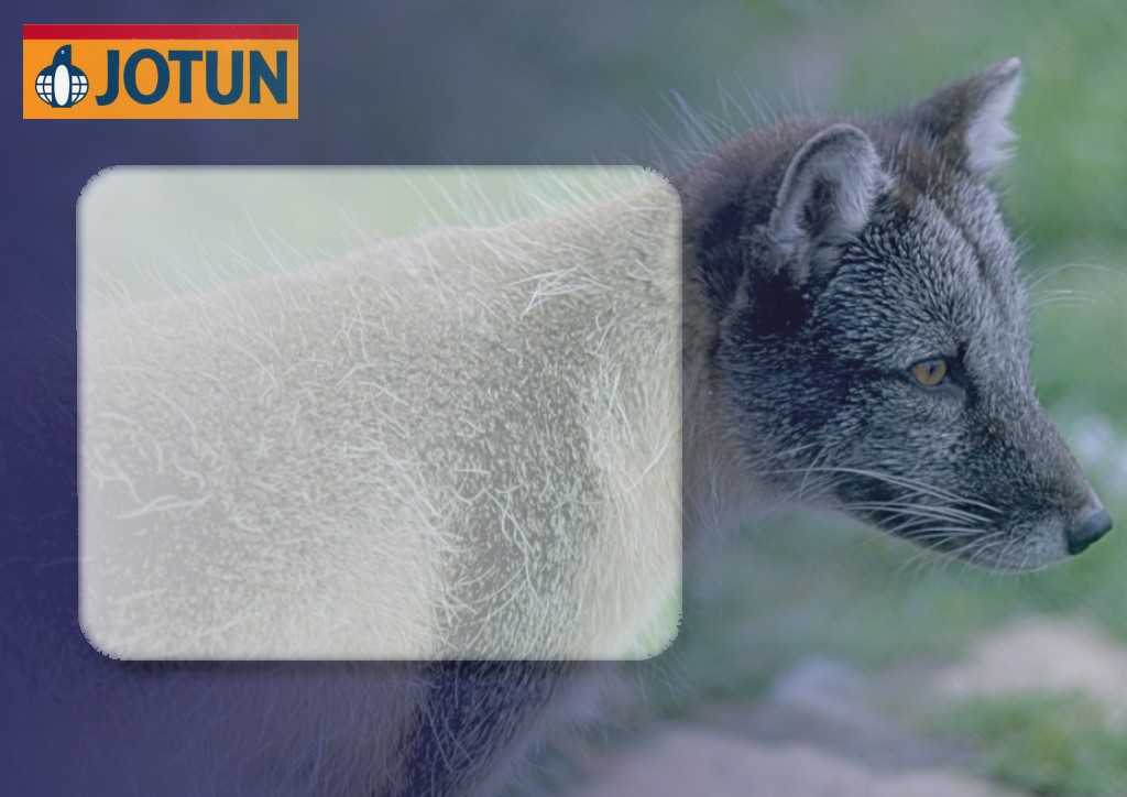 Jotun - die Weltmarke f�r Holzschutz - stammt aus einem Land, in dem 80 % der H�user aus Holz gebaut sind: